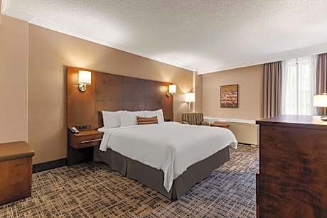 King Room - Non-Smoking