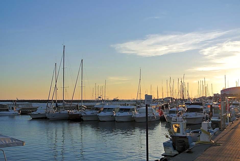 Hotel Les Palmiers En Camargue