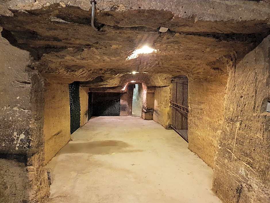 Demeures & Château - Fleur de Roques - Puisseguin Saint Emilion