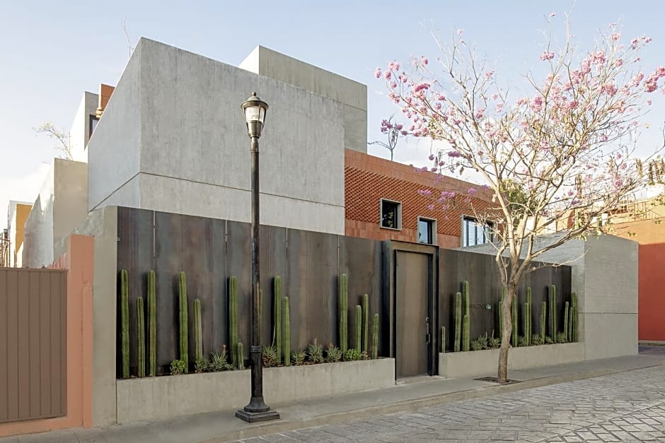 Macondo Arte Oaxaca