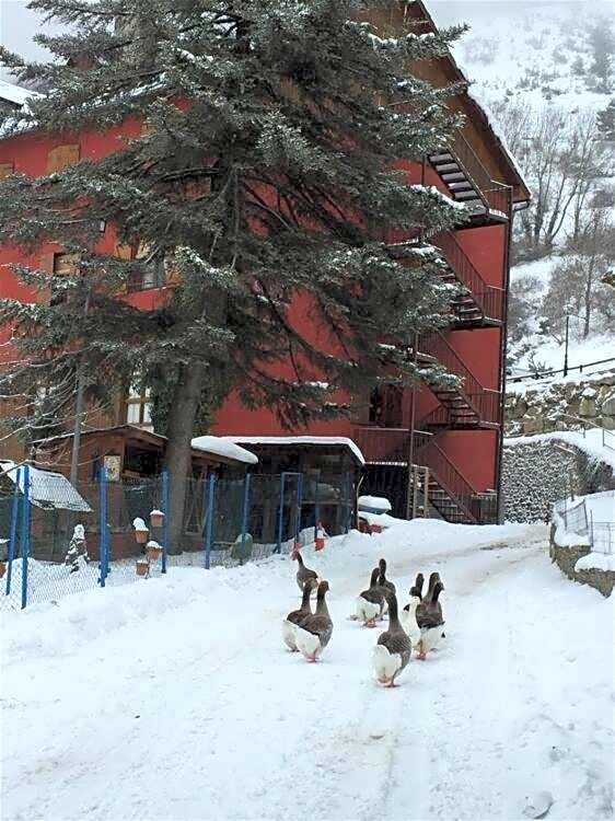 Hotel Hipic