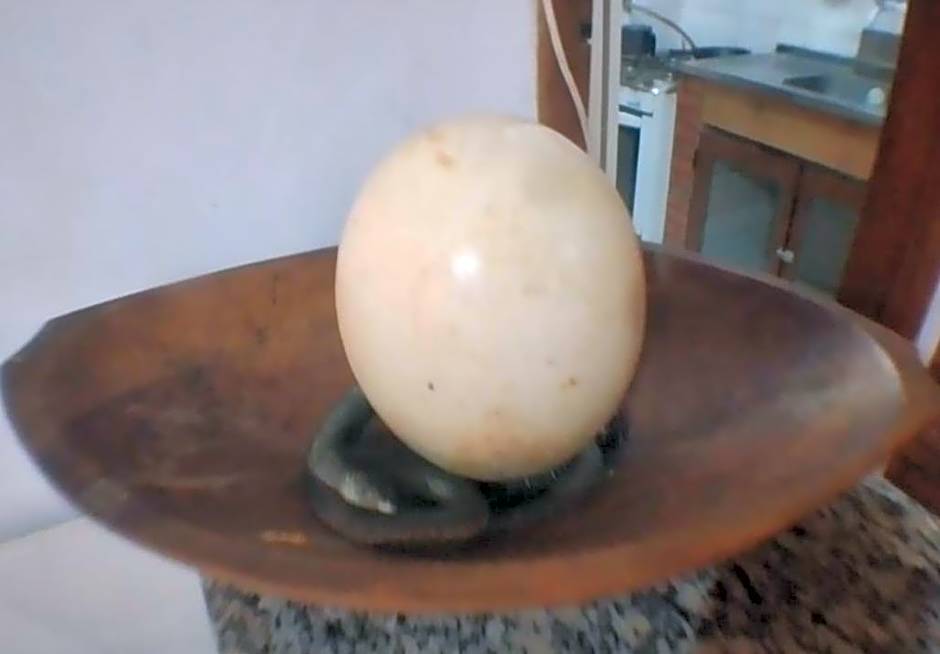 Loft Fino Pedra da Macumba - Recreio