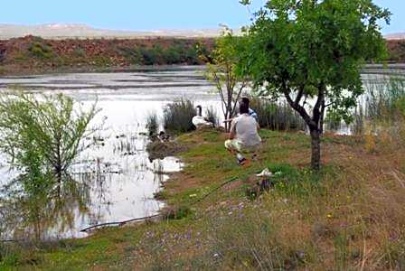 Riad Mimouna De Timnay