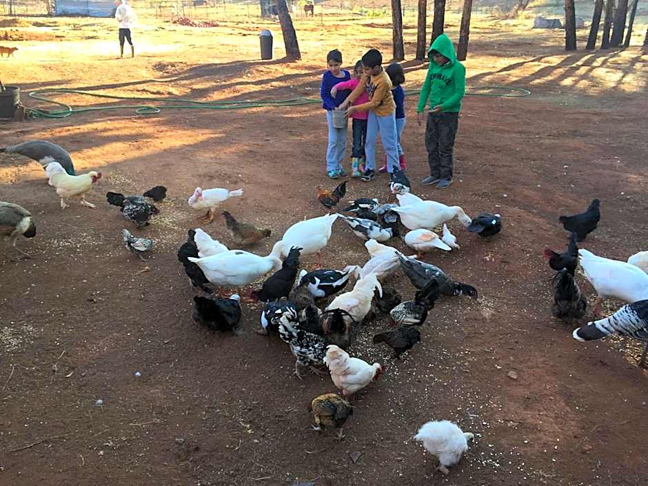 The Cradle Berry Farm