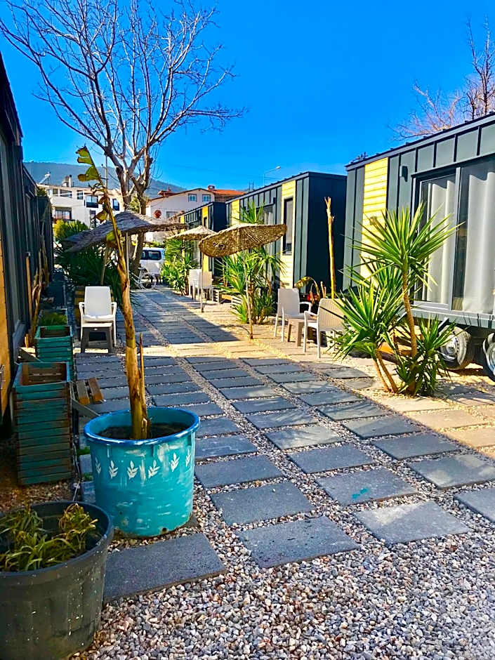 BARBA OTEL