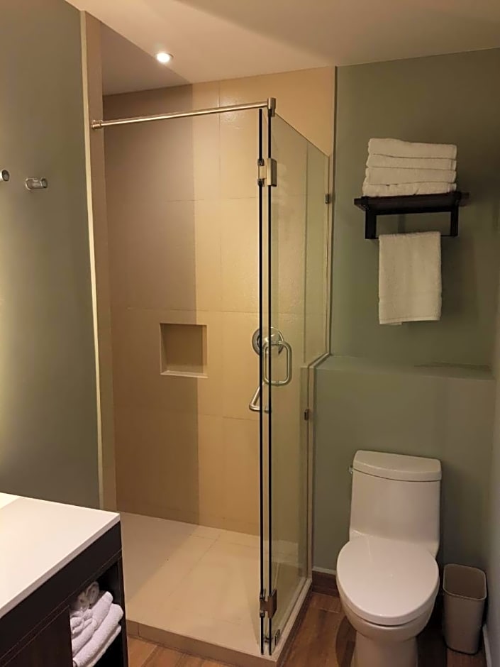 Staybridge Suites Guadalajara Novena By IHG