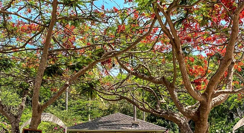 Vayam Boutique Resort