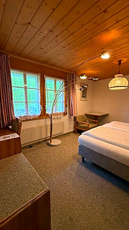 Budget Single Room without view