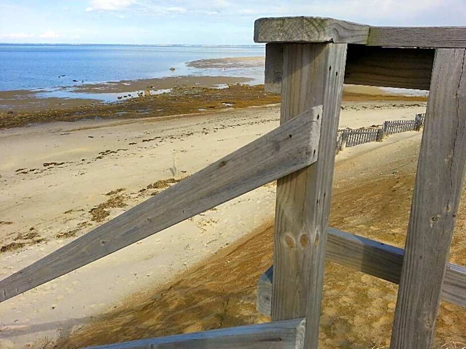 Foto 1 di 50 di Starlight Lodge Cape Cod