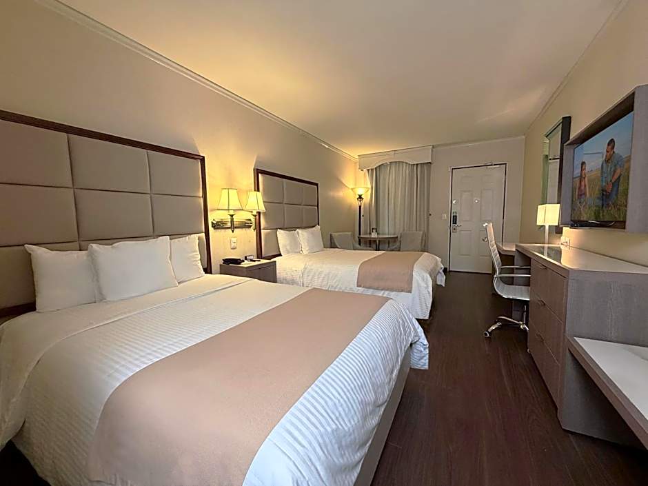 Safi Royal Luxury Centro
