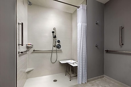 Room, 1 King Bed with Sofa bed, Accessible (Shower) (1 King Bed and 1 Double Sofa Bed)