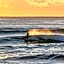 Manly Pacific MGallery Collection