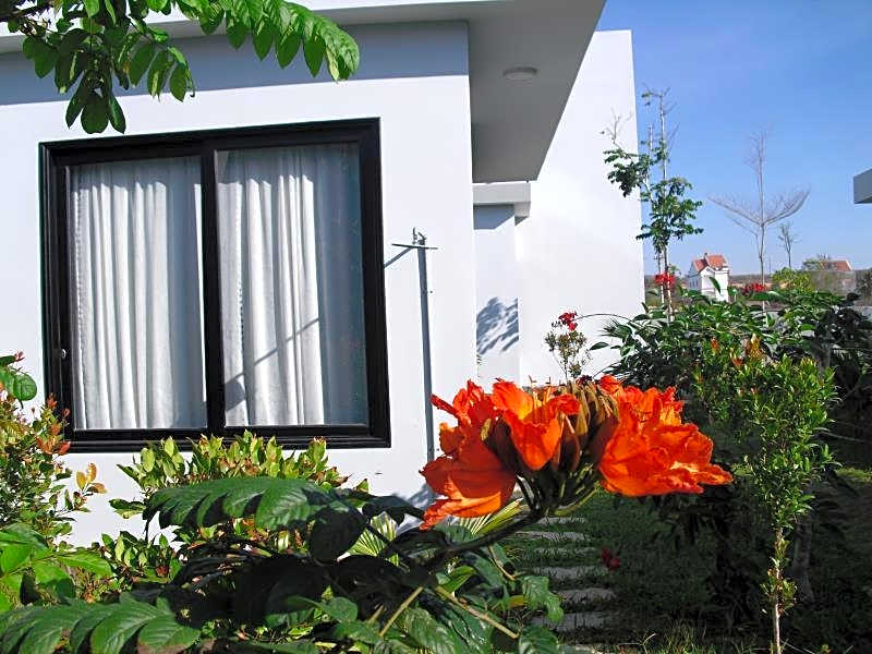 Van Nguyen Minihouse