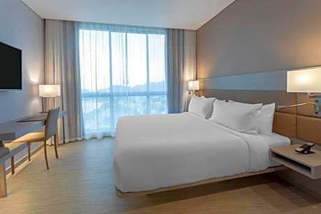 King Guest Room