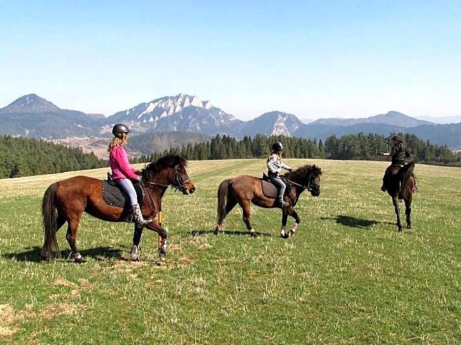 Hotel Nad Przełomem