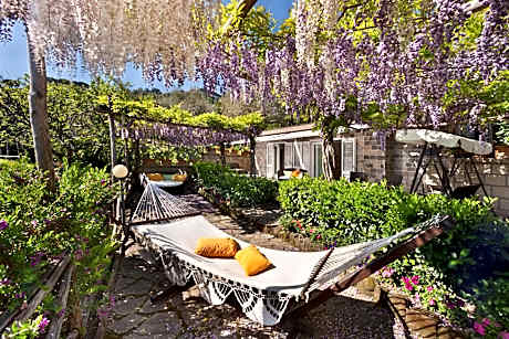 Suite with Hot Tub- Annex