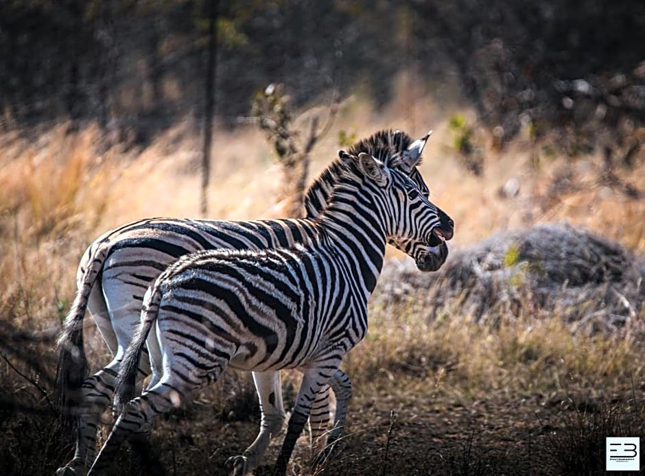 Geluksfontein Private Game Farm