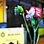 Bodhi Boutique Inn