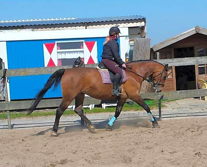 B&B boerderij rust, in pipowagens!