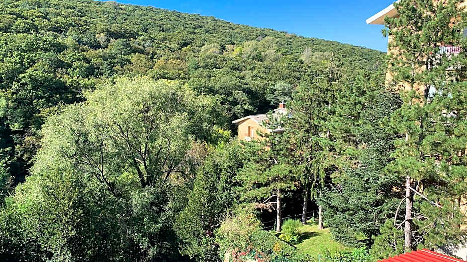 Al bosco incantato