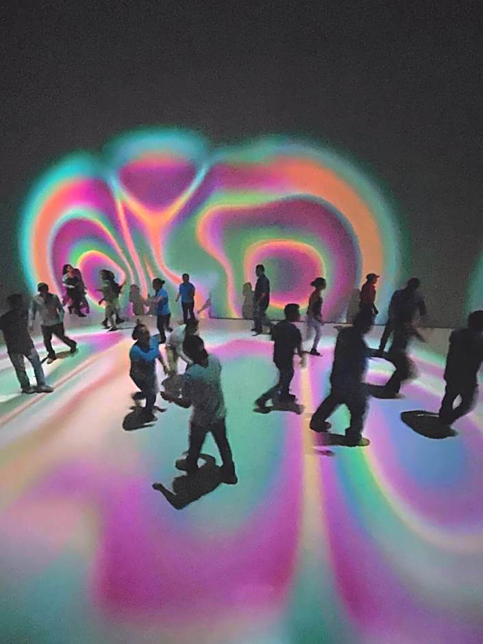 Hotel La Casa de los Árboles Immersive Experience