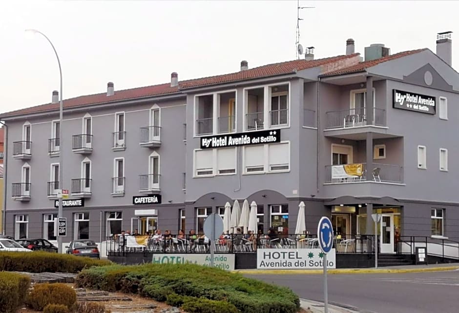 Hotel Avenida del Sotillo