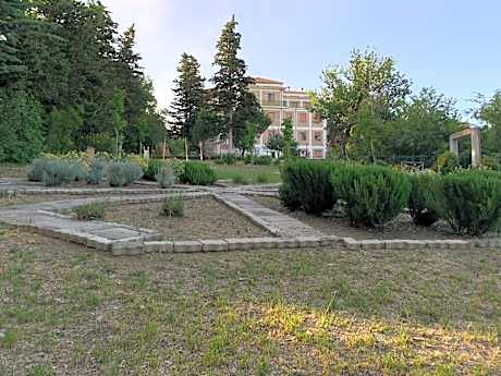 Single Bed in Female Dormitory Room with Shared Bathroom