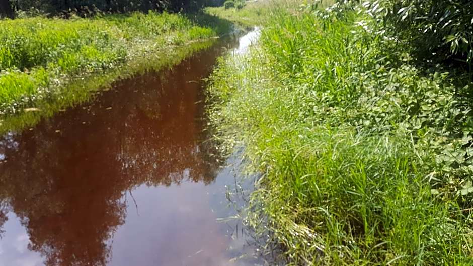 RUTHMANN-Rheinblick GARNI