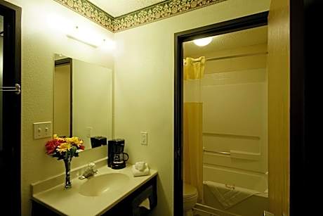 1 King Bed Jacuzzi Suite Non-Smoking