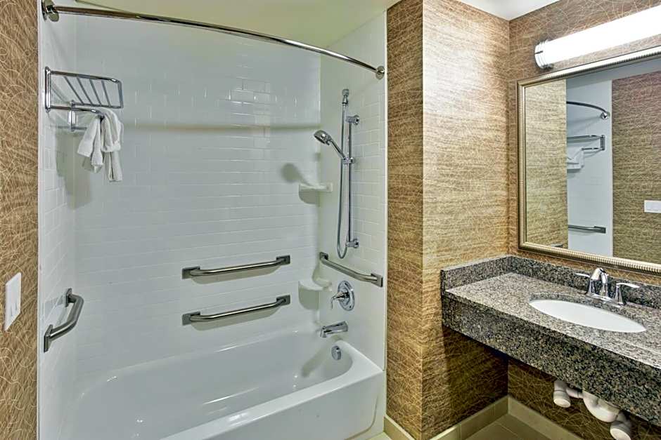 Holiday Inn Detroit Metro Airport By IHG