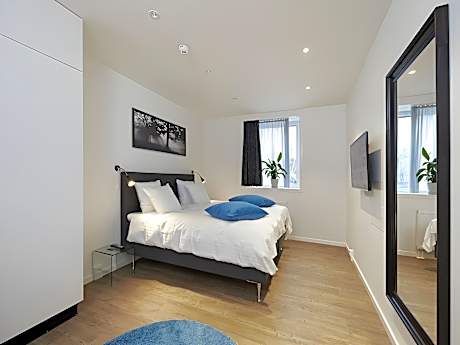 2-Bedroom Executive Apartment