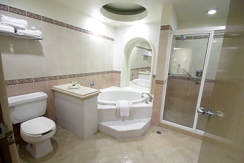 Holiday Inn Leon-Convention Center By IHG