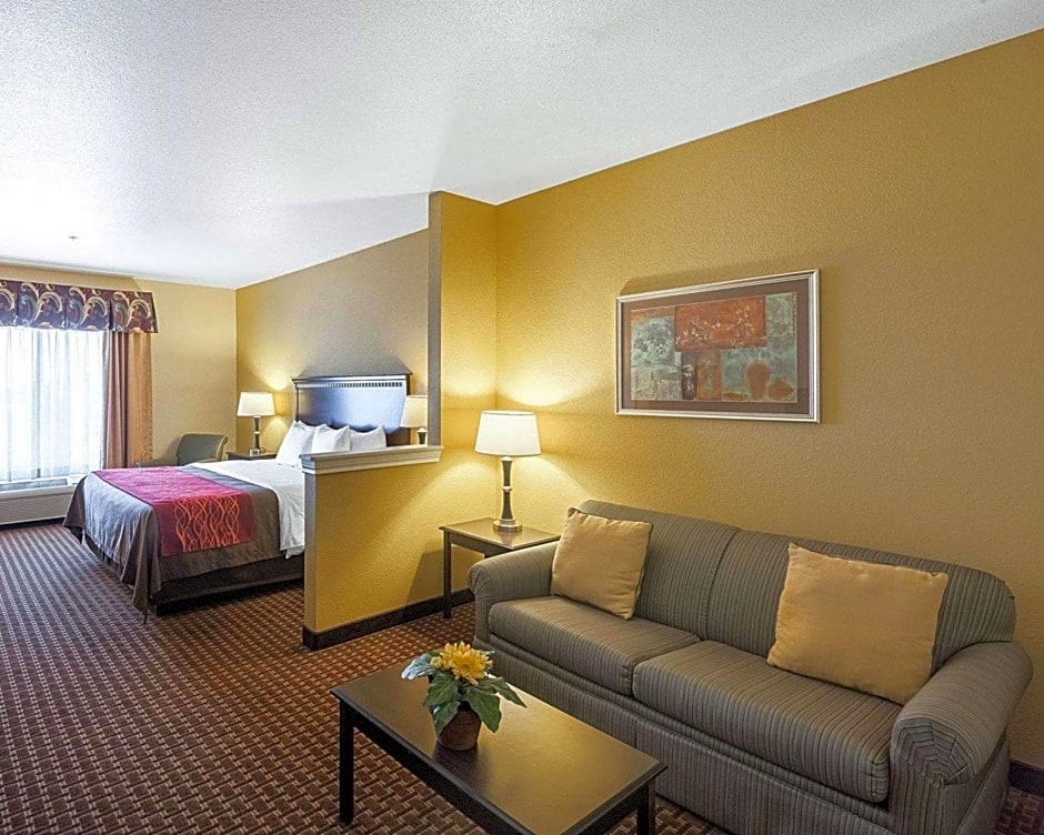 Comfort Inn & Suites Regional Medical Center