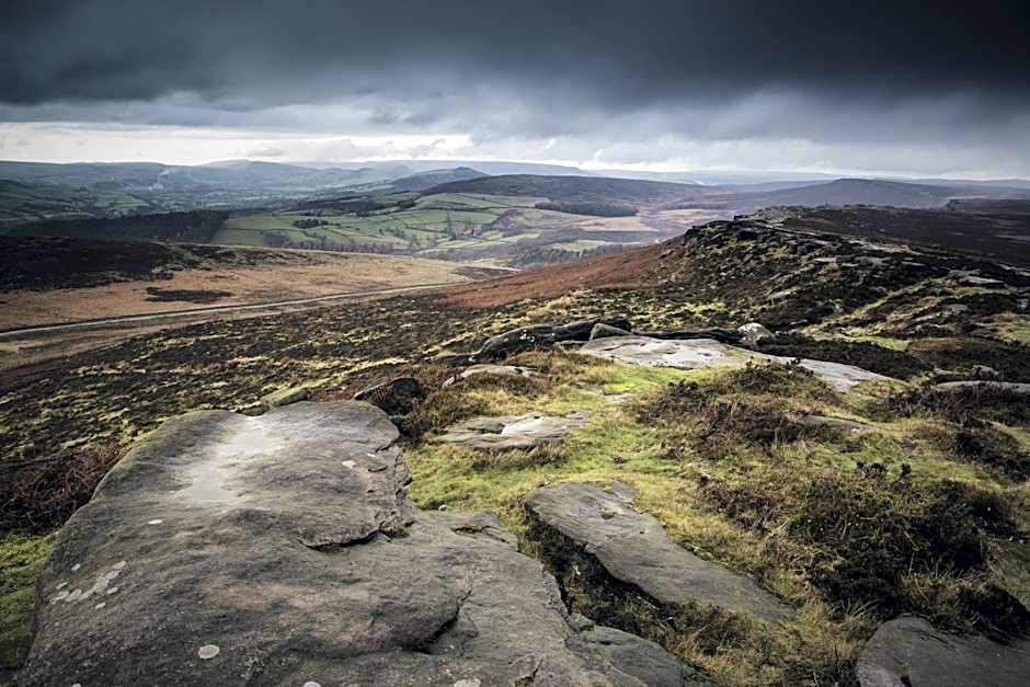 Wildhive Callow Hall