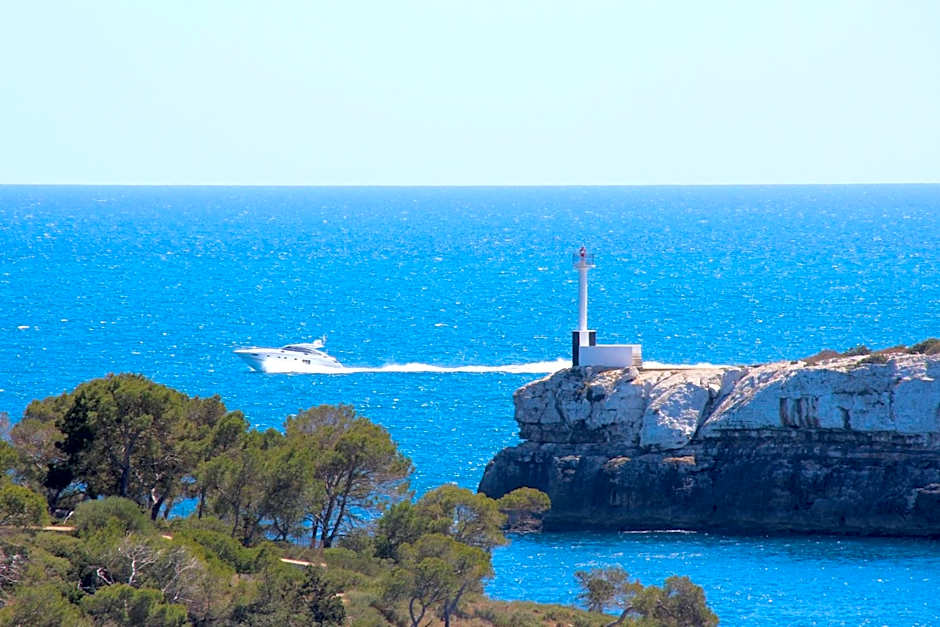 Aparthotel Niu d´Aus