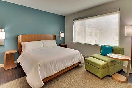 Room, 1 King Bed