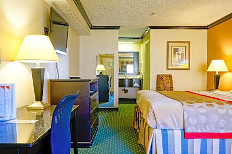 Studio Suite - Non-Smoking