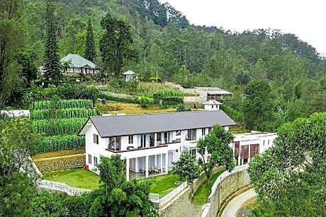 Benito Bungalow by The Serendipity Collection