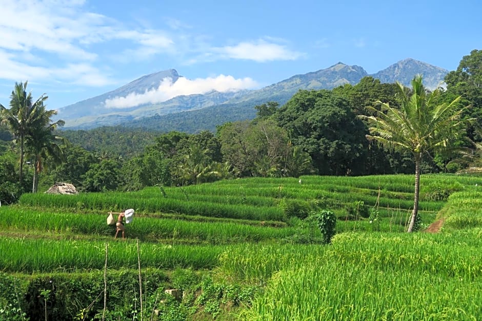 Budaya Kaki Rinjani