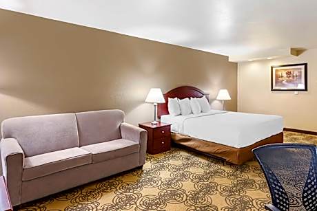 Accessibility - 1 King, Roll-in Shower, Sofabed, Nonsmoking