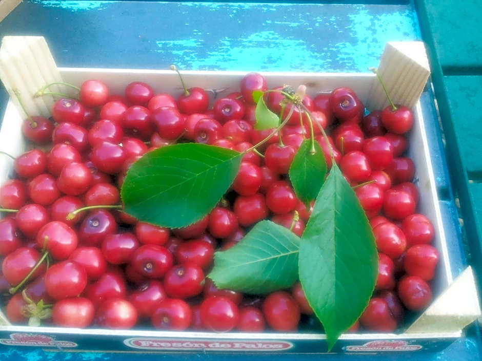 B&B Il Pioppo E La Fonte