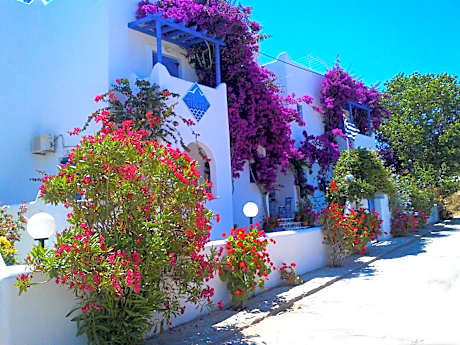 Pelagos Studios