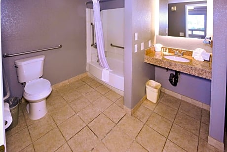 1 King Bed  No Smoking  Accessible Room