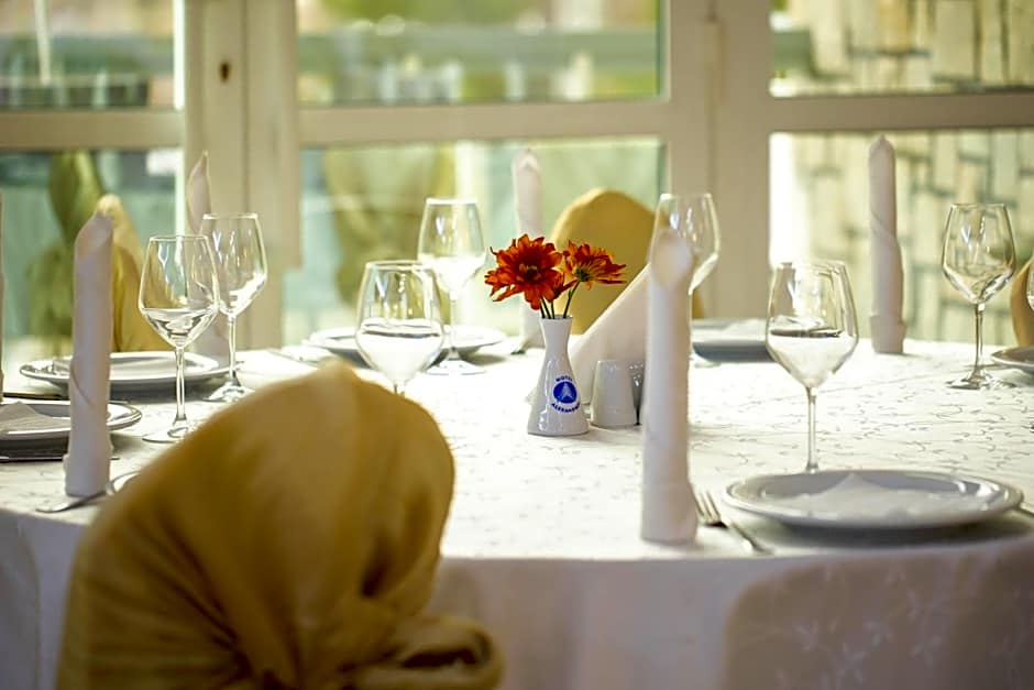 Hotel Alexandros Busteni
