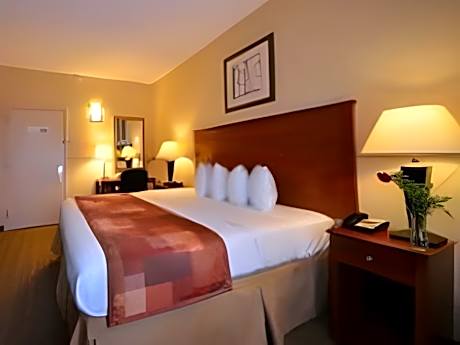 1 King Bed Non-Smoking