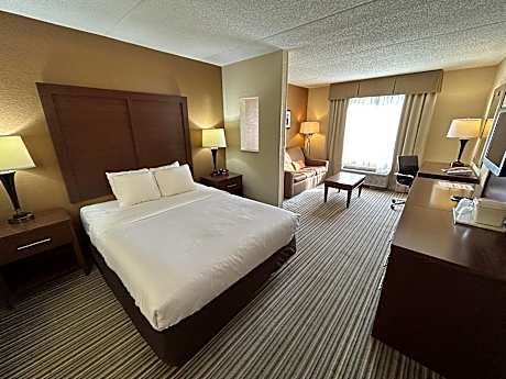 Queen Room with Sofa Bed - Non-Smoking