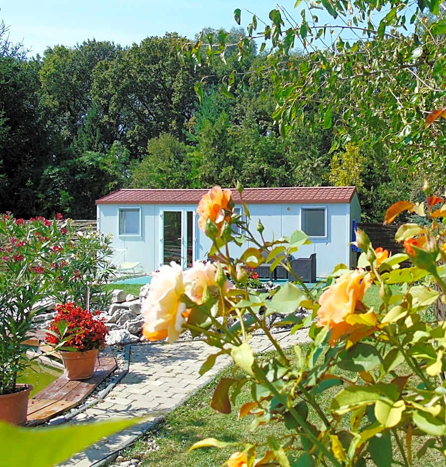 Aranykert Apartmanok Vének