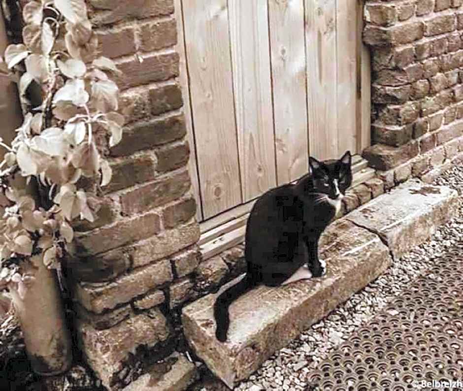 B&B Barvaux, Durbuy