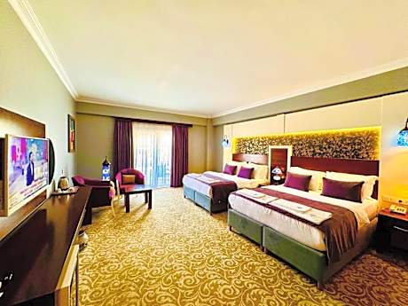 Deluxe Double or Twin Room with Balcony