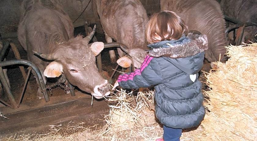 Apartamentos Remoña